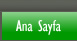 Anasayfa